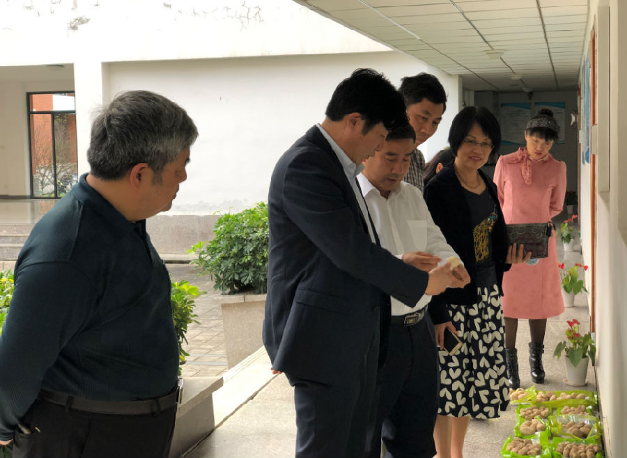 专家组对生物医药研发中心(药学院)进行实地考察.jpg